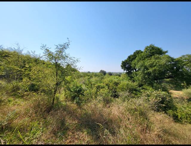 28HA VACANT LAND FOR SALE IN MANGONDI B